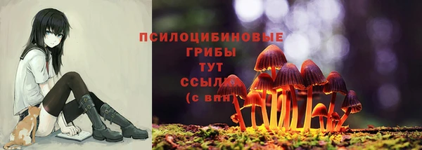 а пвп мука Лиски