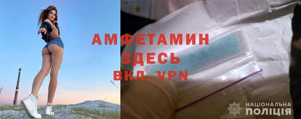дурь Инсар