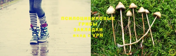 мескалин Липки