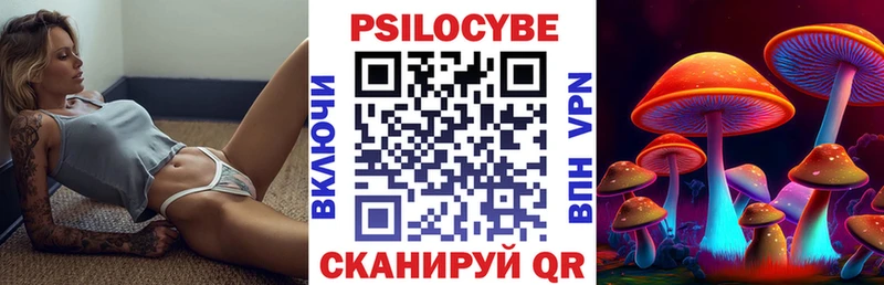 где найти наркотики  Вилючинск  Галлюциногенные грибы Magic Shrooms 
